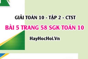 Giải bài 5 trang 58 Toán 10 tập 2 SGK Chân trời sáng tạo
